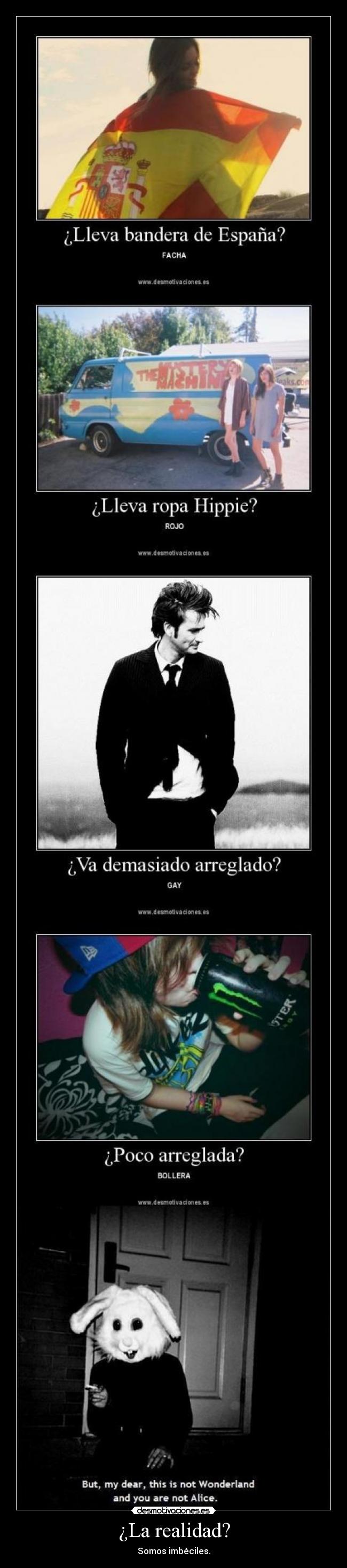 ¿La realidad? - Somos imbéciles.