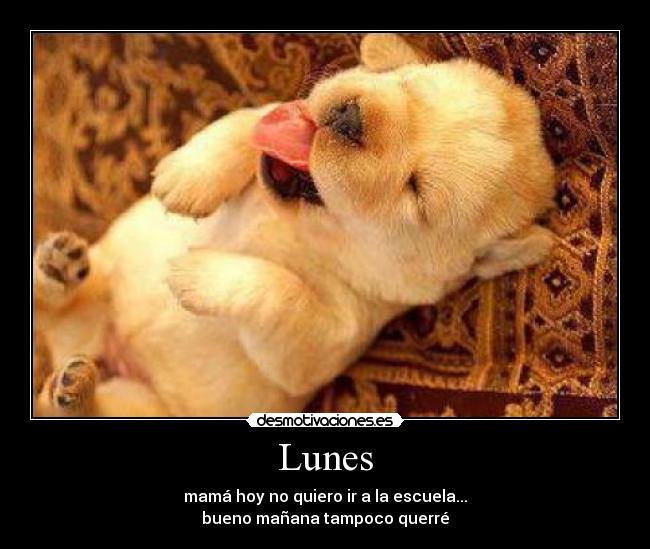 Lunes - mamá hoy no quiero ir a la escuela...
bueno mañana tampoco querré