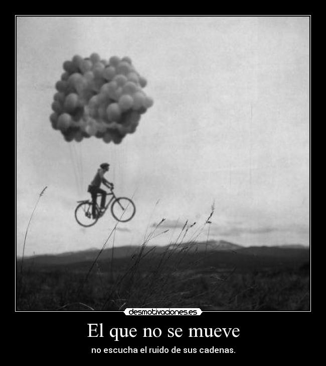 El que no se mueve Desmotivaciones El que no se mueve Desmotivaciones