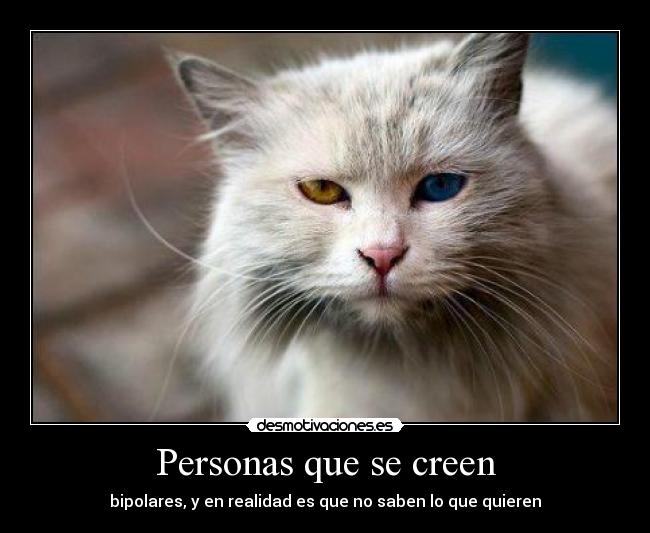 Personas que se creen - bipolares, y en realidad es que no saben lo que quieren