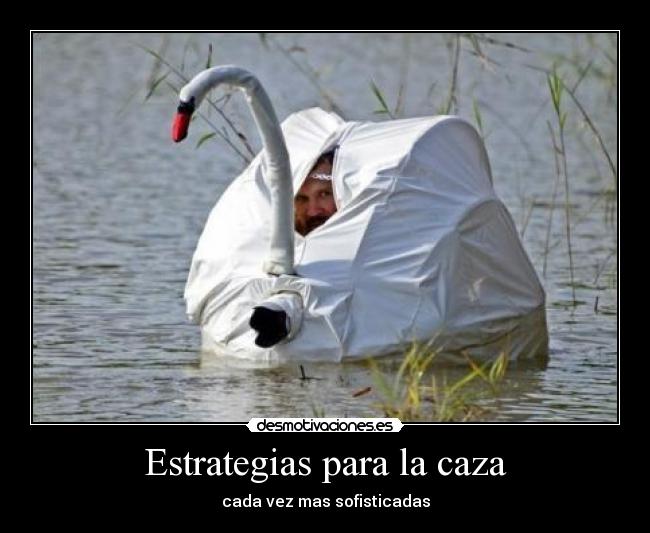 Estrategias para la caza - 