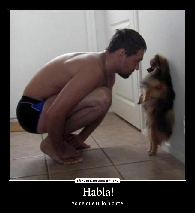 Habla! - 