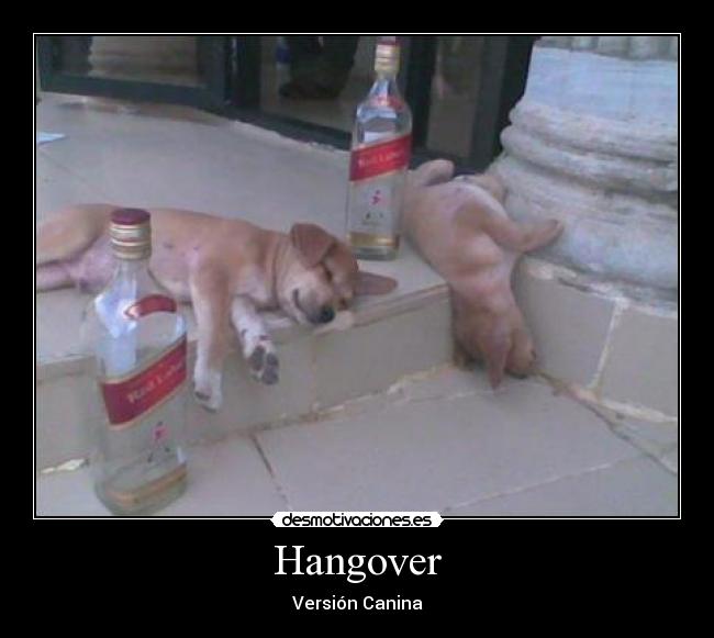 Hangover - Versión Canina