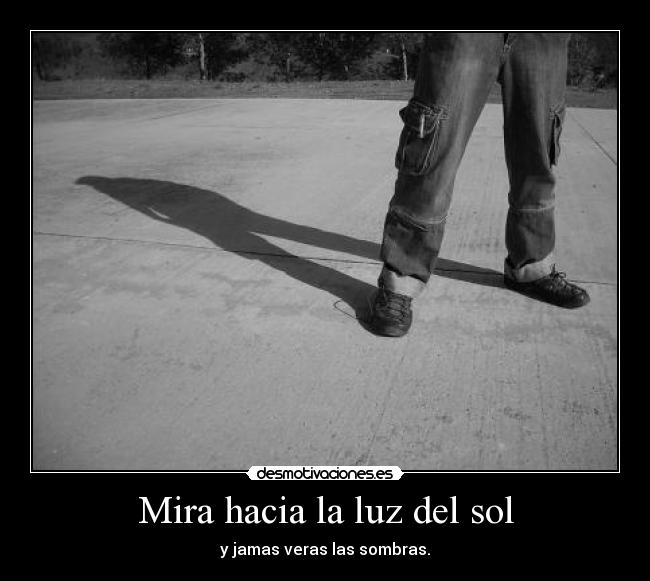 Mira hacia la luz del sol - 