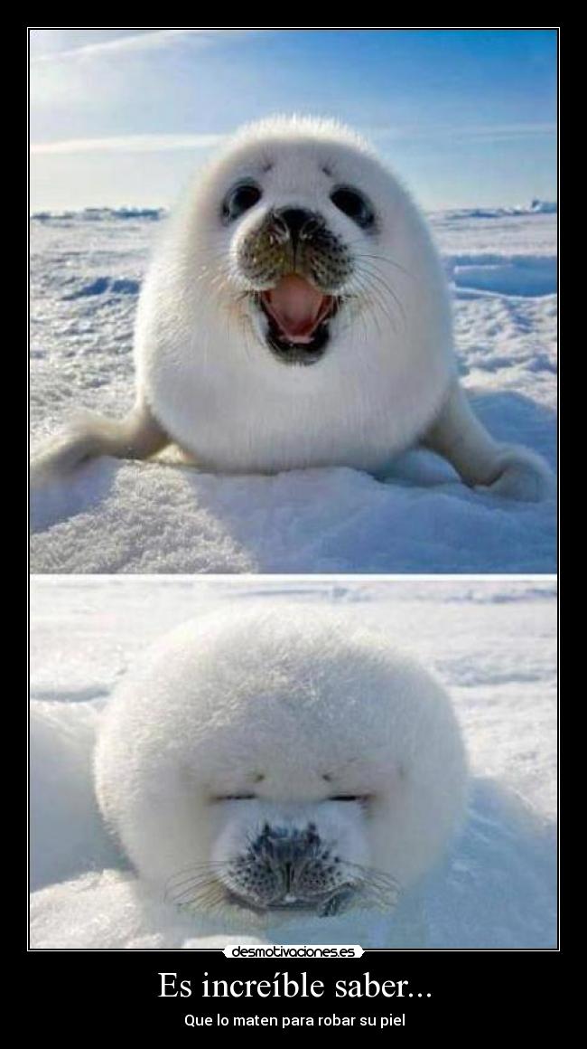 Es increíble saber... - Que lo maten para robar su piel
