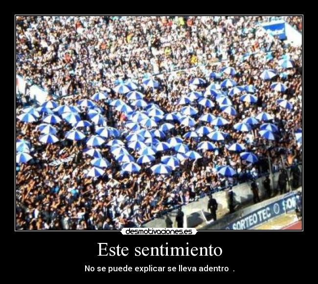 Este sentimiento - No se puede explicar se lleva adentro ♥.