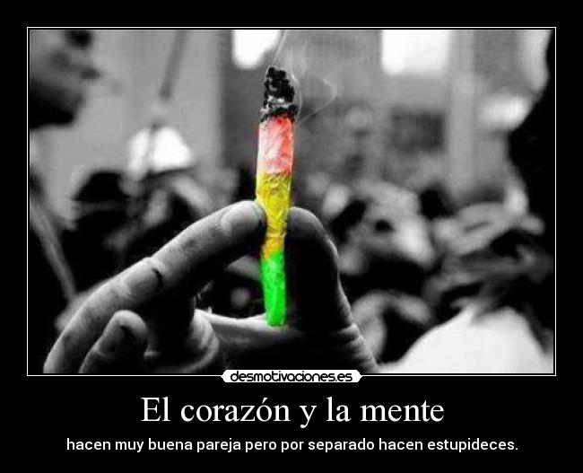 El corazón y la mente - hacen muy buena pareja pero por separado hacen estupideces.