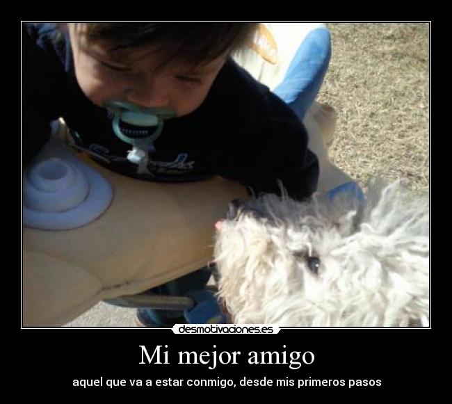 Mi mejor amigo - 