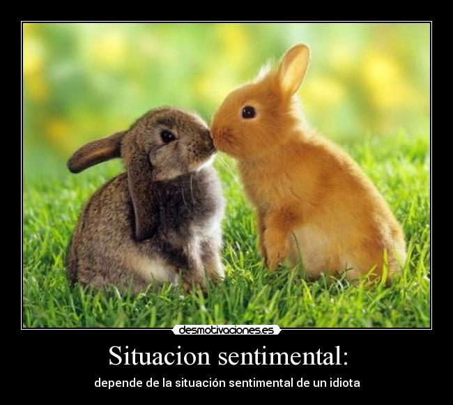 Situacion sentimental: - depende de la situación sentimental de un idiota