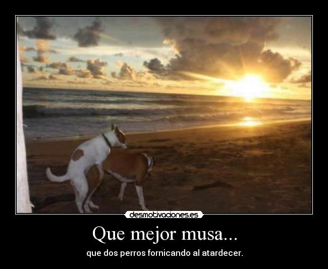 carteles musa desmotivaciones