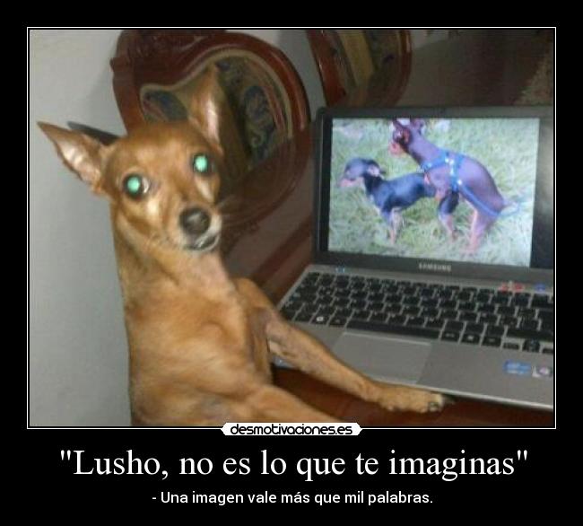 Lusho, no es lo que te imaginas - - Una imagen vale más que mil palabras.