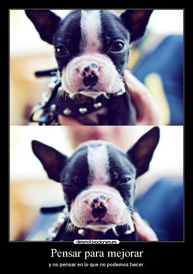 carteles pensar mejorar desmotivaciones