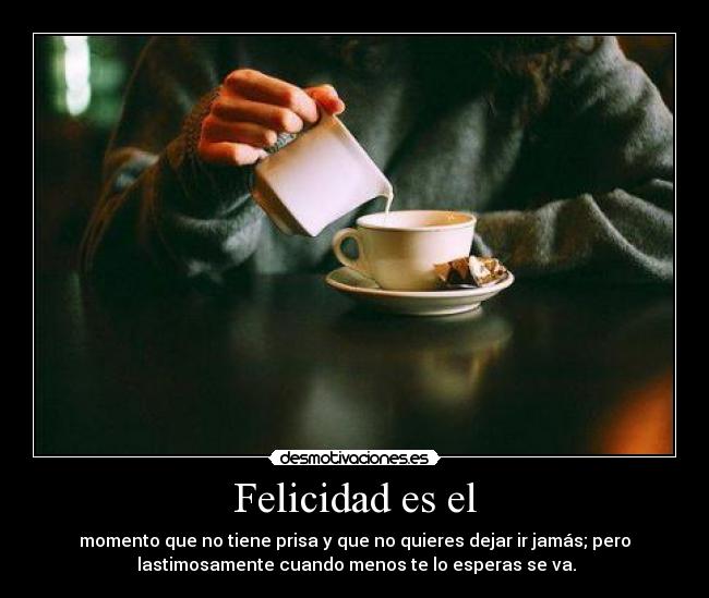 Felicidad es el - momento que no tiene prisa y que no quieres dejar ir jamás; pero
lastimosamente cuando menos te lo esperas se va.