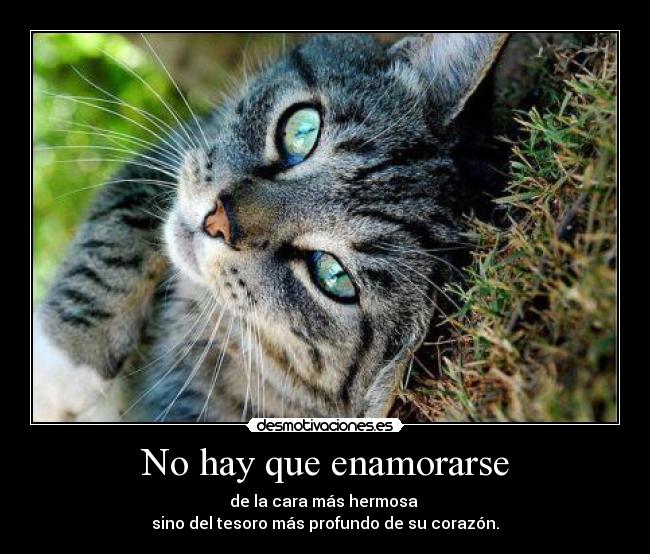 No hay que enamorarse - 