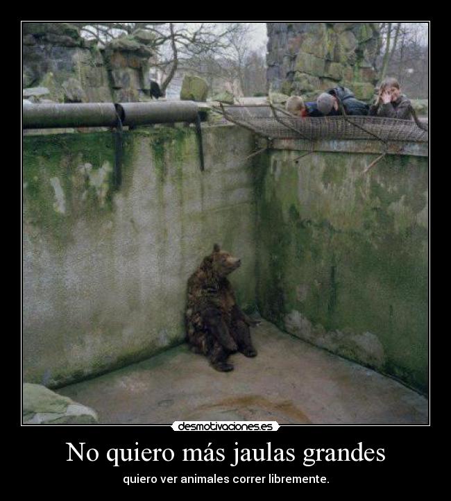 No quiero más jaulas grandes - quiero ver animales correr libremente.