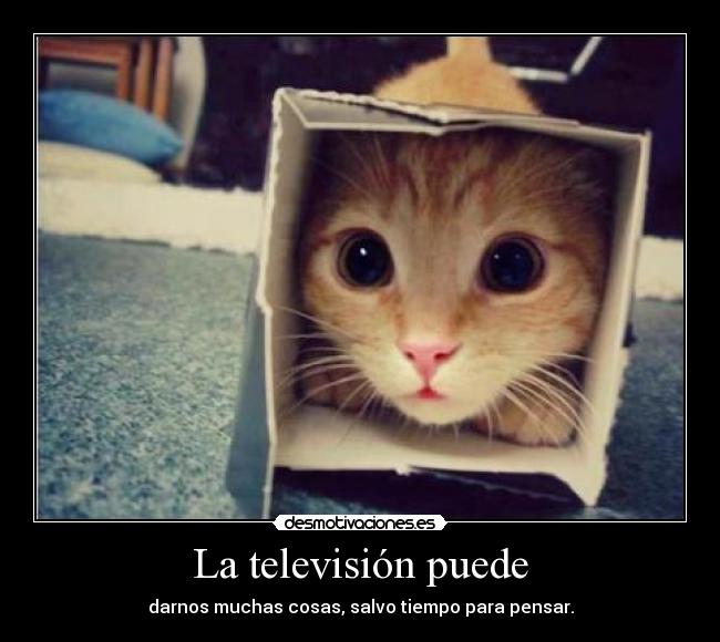 La televisión puede - 