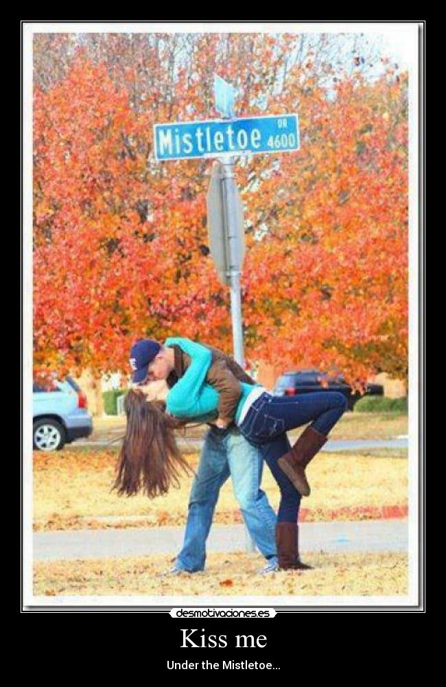 carteles kiss under the mistletoe desmotivaciones