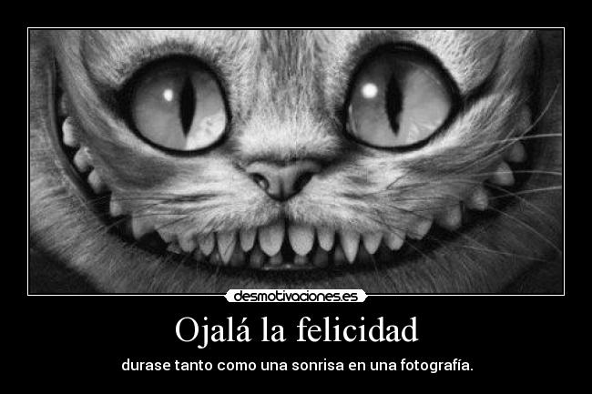 Ojalá la felicidad -