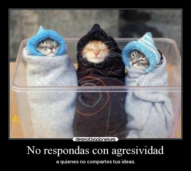 No respondas con agresividad - a quienes no compartes tus ideas.