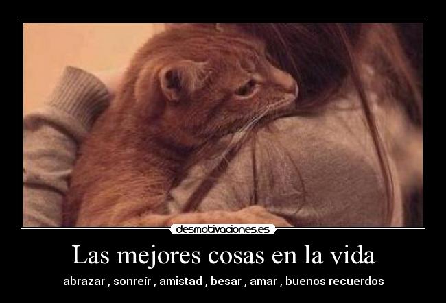Las mejores cosas en la vida - abrazar , sonreír , amistad , besar , amar , buenos recuerdos