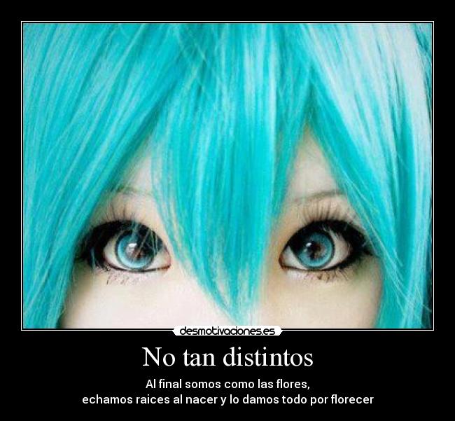 No tan distintos - 