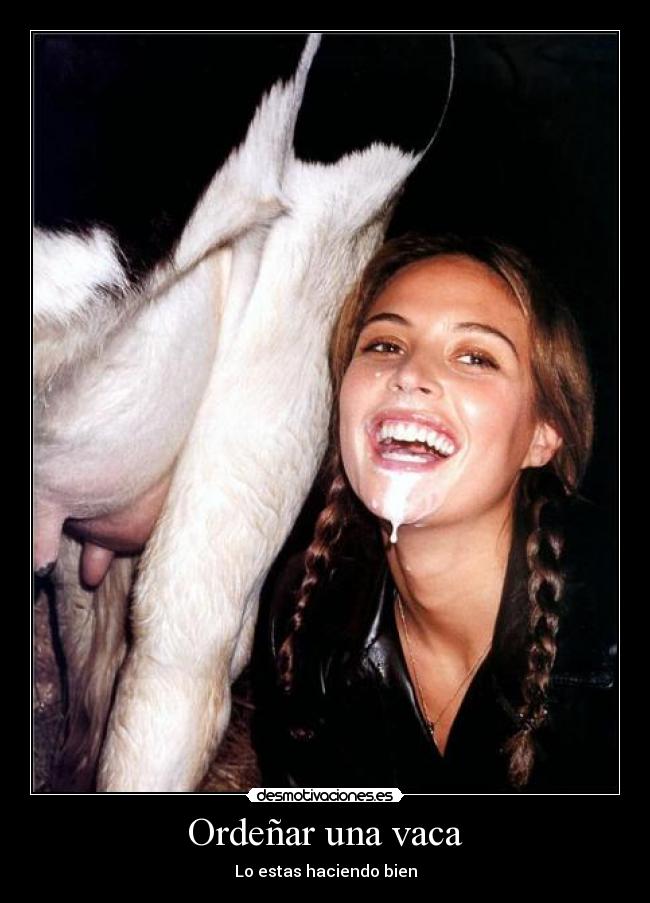 Ordeñar una vaca - Lo estas haciendo bien