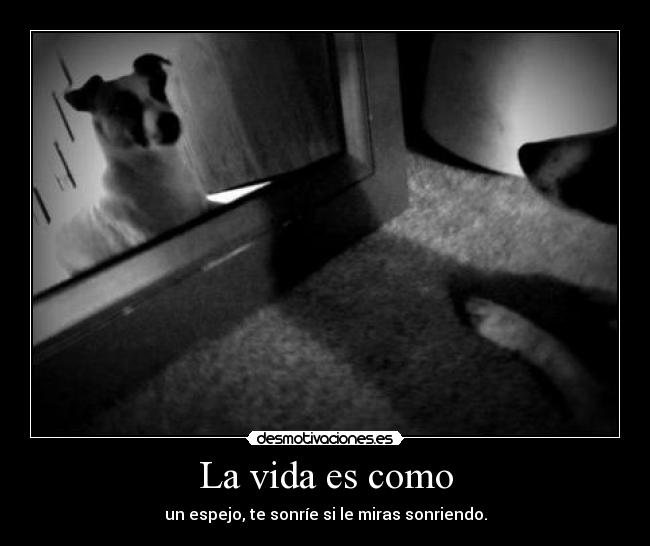 La vida es como - un espejo, te sonríe si le miras sonriendo.