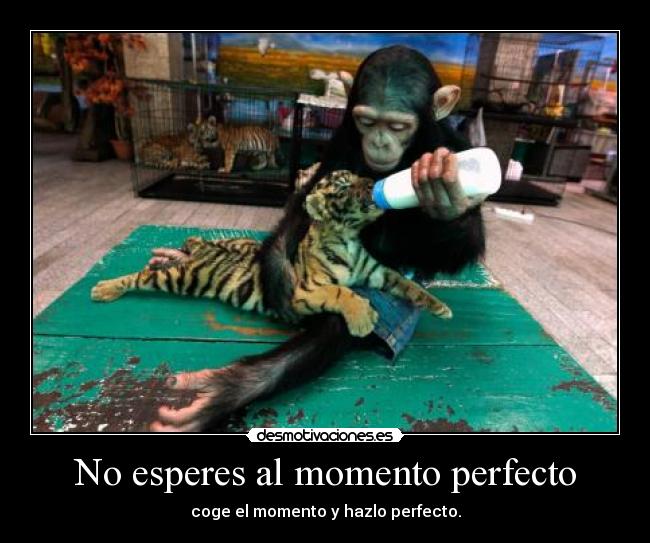 No esperes al momento perfecto - 