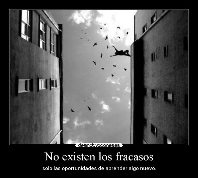 No existen los fracasos -