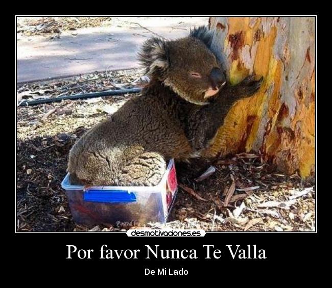 Por favor Nunca Te Valla -