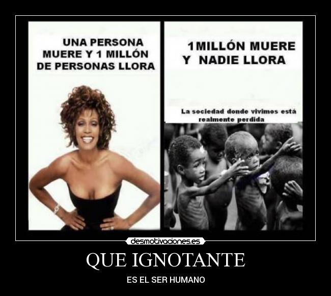 QUE IGNOTANTE - ES EL SER HUMANO