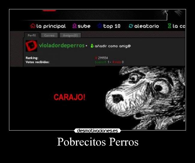 Pobrecitos Perros - 