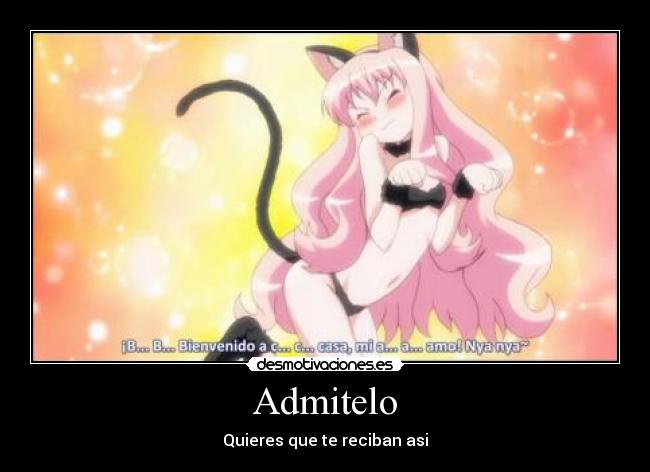 carteles anime zero tsukaima louise desmotivaciones