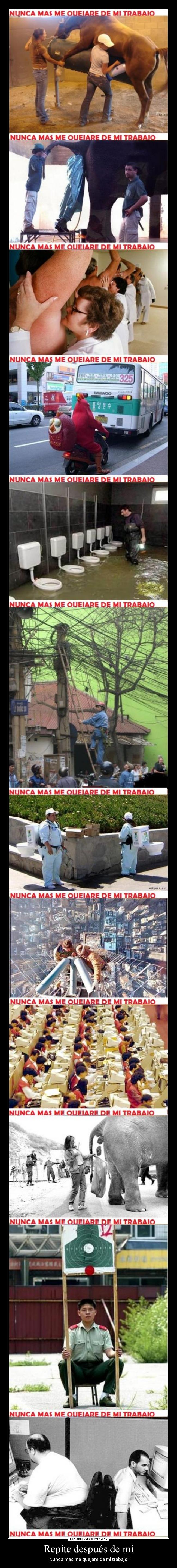 carteles repite despues desmotivaciones