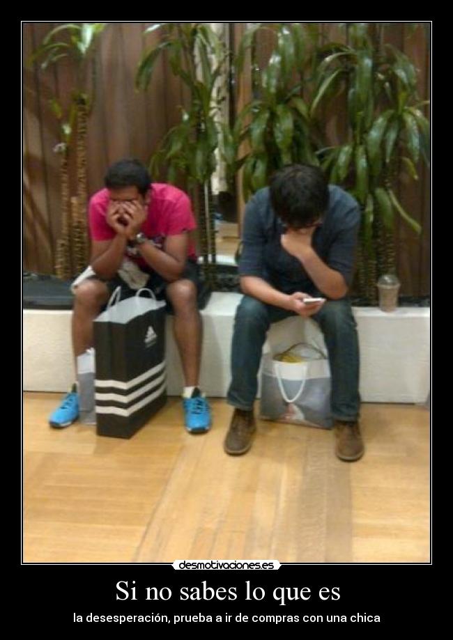 Si no sabes lo que es - la desesperación, prueba a ir de compras con una chica