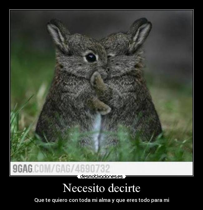 Necesito decirte -