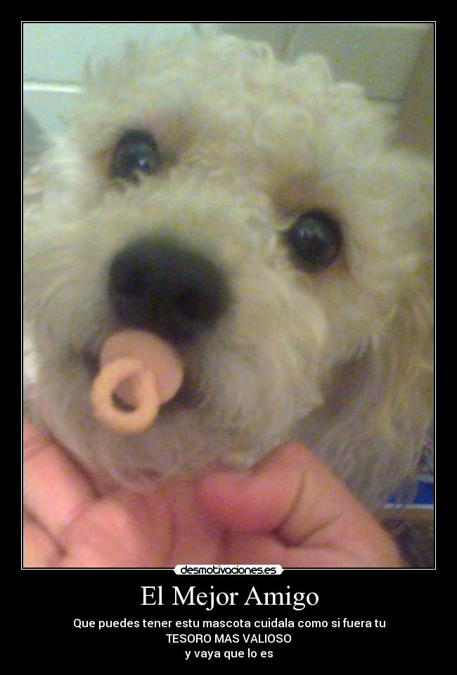 El Mejor Amigo - Que puedes tener estu mascota cuidala como si fuera tu
TESORO MAS VALIOSO
y vaya que lo es