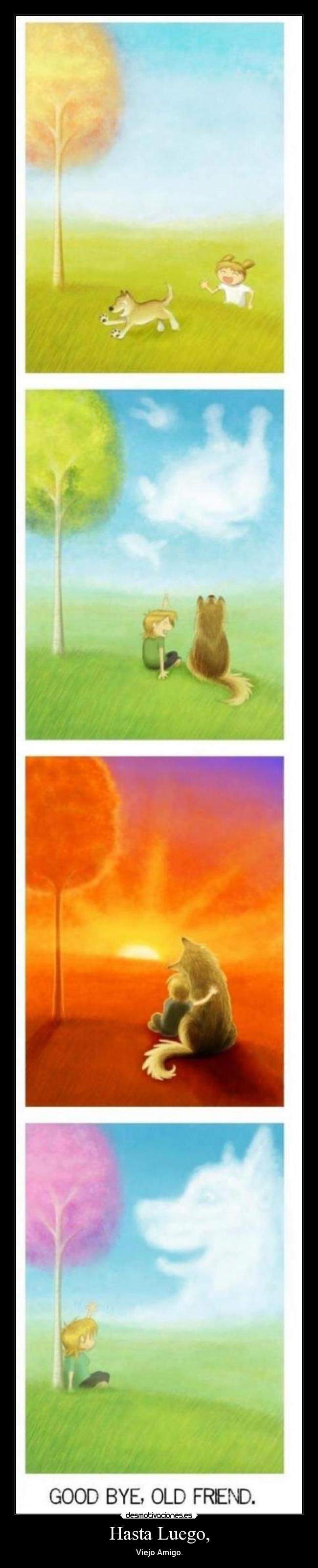 Hasta Luego, - Viejo Amigo.