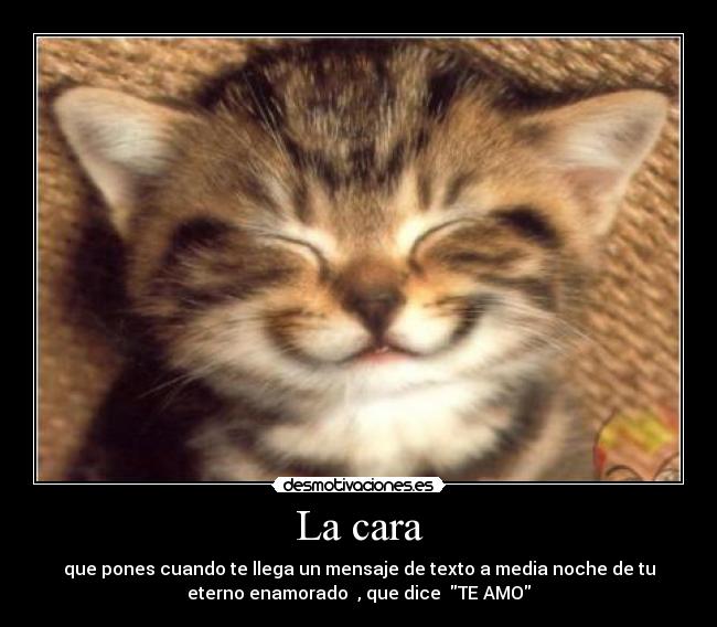 La cara - que pones cuando te llega un mensaje de texto a media noche de tu
eterno enamorado  , que dice  TE AMO
