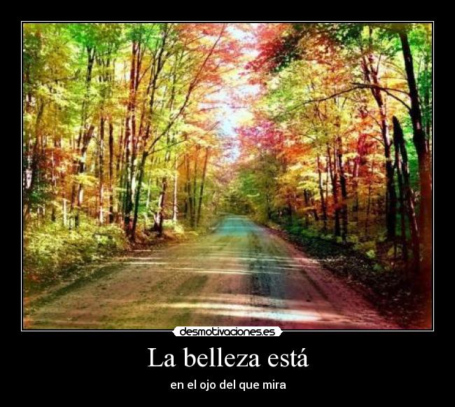 La belleza está - en el ojo del que mira