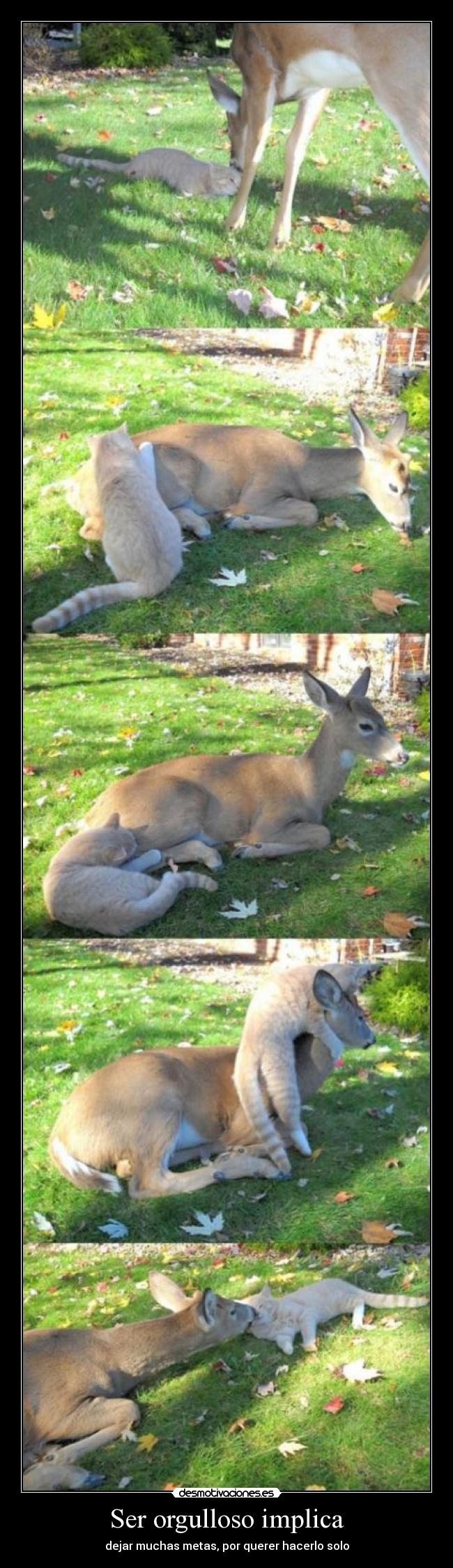 Ser orgulloso implica - dejar muchas metas, por querer hacerlo solo