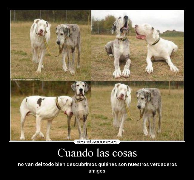 Cuando las cosas - 