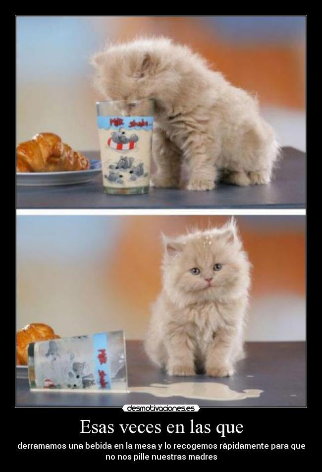 Esas veces en las que - derramamos una bebida en la mesa y lo recogemos rápidamente para que
no nos pille nuestras madres