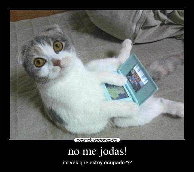 no me jodas! - no ves que estoy ocupado???