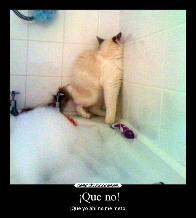 ¡Que no! -