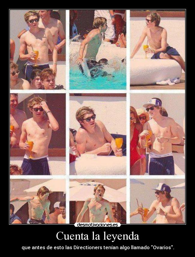 Cuenta la leyenda - que antes de esto las Directioners tenían algo llamado Ovarios.