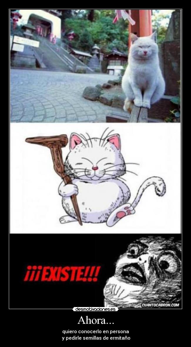 Ahora... - quiero conocerlo en persona
y pedirle semillas de ermitaño