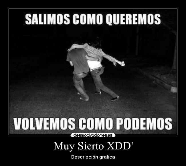 Muy Sierto XDD - Descripción grafica