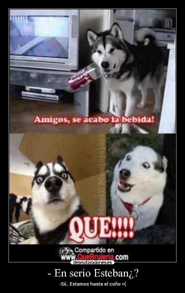 - En serio Esteban¿? - -Sii.. Estamos hasta el coño =(