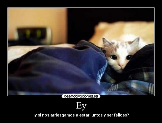 Ey - ¡y si nos arriesgamos a estar juntos y ser felices?